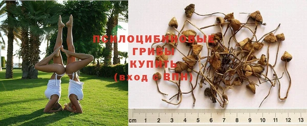 бошки Верхний Тагил