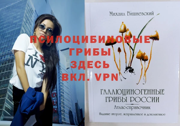 соль ск Верхнеуральск