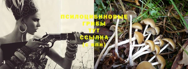 ГАЛЛЮЦИНОГЕННЫЕ ГРИБЫ Володарск