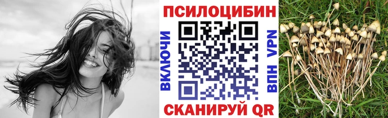 Галлюциногенные грибы Psilocybe  сколько стоит  Коломна 